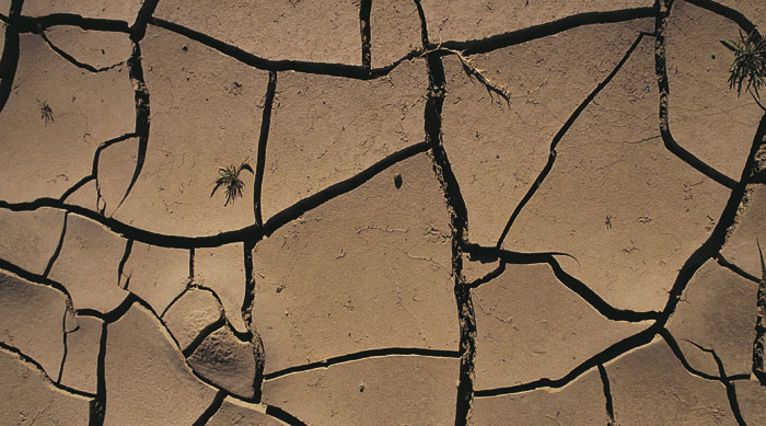 Environment Agency warns of ‘precarious’ drought situation - Utility Week