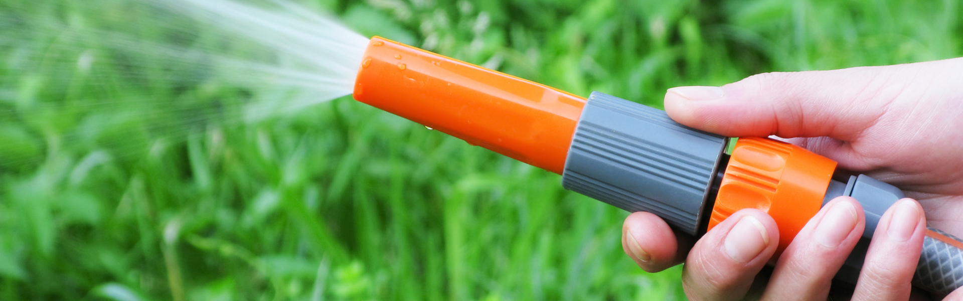 Southern imposes first hosepipe ban in a decade Utility Week